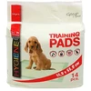 Placek Absorbējošie paladziņi : Dog Fantasy Training Pads, 55.8 x 55.8 cm : 14gb