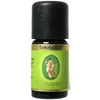 Primavera Natural Essential Oil Eucalyptus globulus Bio 5 ml