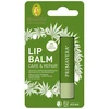 Primavera Regenerating balm for dry lips Care &amp; Repair (Lūpų balzamas) 4.6 g