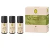 Primavera Fresh &amp; Energy introductory set (Aroma Sauna)