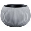 Prosperplast Gėlių vazonas Beton Bowl 19x29cm Pilka