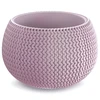 Prosperplast Vazonas Splofy Bowl Violetinis 16x24cm