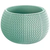 Prosperplast Gėlių vazonas Splofy Bowl Žalias 11x14cm