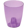 Prosperplast Vazonas orchidėjoms Coubi 18x16cm, 2.4L, skaidrus violetinis