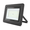 TelForceone Prožektorius LED PROXIM II 100W |6000K| IP66 Forever Light