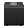 QCY SP300 belaidė kolonėlė (juodas)