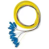 Qoltec 12 vnt. LC/APC optinio pluošto kabeliai 2m