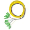 Qoltec 12 x Pigtail optinio pluošto kabelis SC/APC 2m