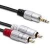 Qoltec Cable 2xRCA / Mini Jack 3.5mm male | 1m | Juodas