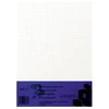Rašomasis popierius SMLT, A4, langeliais (100) 0703-002
