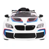 Roger Elektromobilis BMW M6 GT3, Baltas
