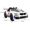 Roger Elektromobilis BMW M6 GT3, Baltas