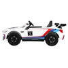 Roger Elektromobilis BMW M6 GT3, Baltas