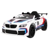 Roger Elektromobilis BMW M6 GT3, Baltas