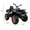 Ramiz Elektrinis keturratis ATV Desert, Moro