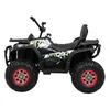 Ramiz Elektrinis keturratis ATV Desert, Moro