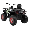 Ramiz Elektrinis keturratis ATV Desert, Moro