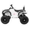 Ramiz Elektrinis keturratis ATV AIR, Baltas