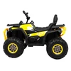 Ramiz Elektrinis keturratis ATV Desert, Geltona
