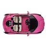 Triton Lamborghini SIAN vehicle Rožinė
