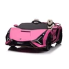 Triton Lamborghini SIAN vehicle Rožinė