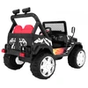 Ramiz Elektromobilis Raptor Drifter, Juodas