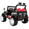 Ramiz Elektromobilis Raptor Drifter, Juodas