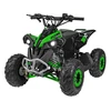 1Deame RENEGADE HIPERFECT 110CC žalias motorizuotas keturratis