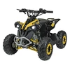 1Deame Benzininis keturratis RENEGADE HighPer 110CC, Geltona