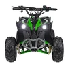 1Deame RENEGADE HIPERFECT 110CC žalias motorizuotas keturratis