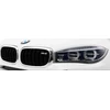 Ramiz Elektromobilis BMW X6M, Baltas