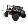 Ramiz Elektrinis Buggy UTV, Juodas