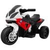 Ramiz Motor BMW S1000 RR raudonos spalvos