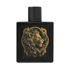 Rayhaan Lion EDP parfumuotas vanduo vyrams, 100 ml