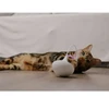 Rotaļlieta kaķiem : Placek Cat Epic Pet Spinning feathers 8cm