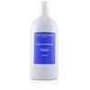 Sachajuan Colour Sidabrinis Conditioner