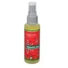 Saloos Natural oro gaiviklis Christmas Dream 50 ml