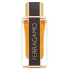 Salvatore Ferragamo Spicy Leather Special Edition EDP parfumuotas vanduo vyrams, 100 ml