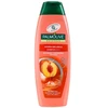 Šampūnas Palmolive Hydra Balance 2in1 350ml