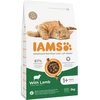 IAMS sausas maistas katėms su ėriena, 3kg