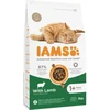 IAMS sausas maistas katėms su ėriena, 3kg