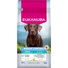 Eukanuba Special Care Weight Control sausas maistas didelių veislių šunims su vištiena, L, 15 kg