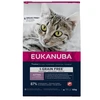EUKANUBA begrūdis Kitten lašiša, 10 kg
