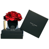 Set Herve Gambs: Ecorce Fauve, Room Purškiklis, 10 ml + Juodas Couture Flower, Porcelain, Aroma Reed Diffuser, Juodas