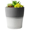 Telforceone Setty humidifier NP-18 pilkas