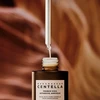 SKIN 1004 SKIN1004 Madagascar Centella Probio-Cica Intensive Ampoule drėkinanti veido ampulė su probiotikais 95ml