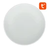 Lubinis šviestuvas Išmani lubinė lempa 30cm Bluetooth 16M RGBCW Gosund LB13 1600lm Tuya + nuotolinio valdymo pultas.