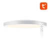 Lubinis šviestuvas Išmani lubinė lempa 30cm Bluetooth 16M RGBCW Gosund LB13 1600lm Tuya + nuotolinio valdymo pultas.