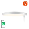 Lubinis šviestuvas Išmani lubinė lempa 32cm WiFi/Bluetooth 16M RGBCW Gosund LB11 1920lm Tuya + nuotolinio valdymo pultas.