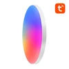 Lubinis šviestuvas Išmani lubinė lempa 32cm WiFi/Bluetooth 16M RGBCW Gosund LB11 1920lm Tuya + nuotolinio valdymo pultas.